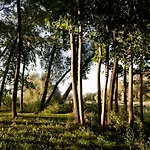 Landgut Nedlitz, Aryurveda & Gesundheit Отель 4*