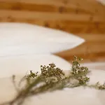 Landgut Nedlitz, Aryurveda & Gesundheit 4*