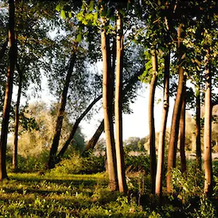 Otel Landgut Nedlitz, Aryurveda & Gesundheit