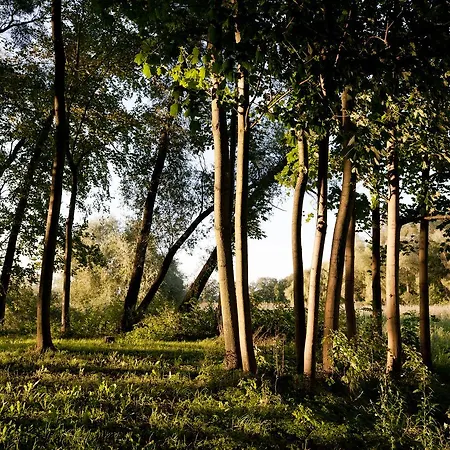 Landgut Nedlitz, Aryurveda & Gesundheit Hotel 4*