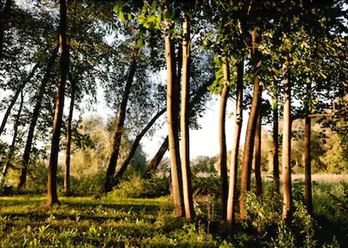 Hotel Landgut Nedlitz, Aryurveda & Gesundheit