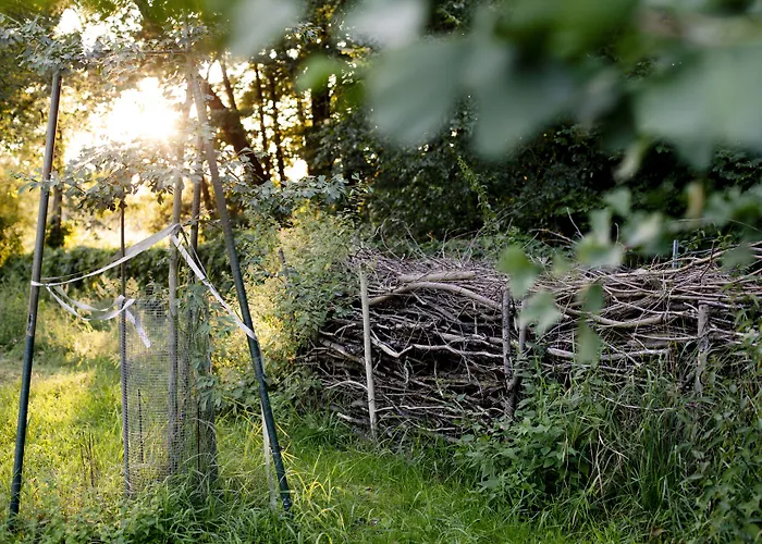 Landgut Nedlitz, Aryurveda & Gesundheit