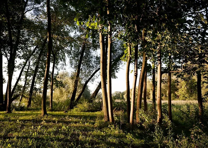 Landgut Nedlitz, Aryurveda & Gesundheit Hotel 4*