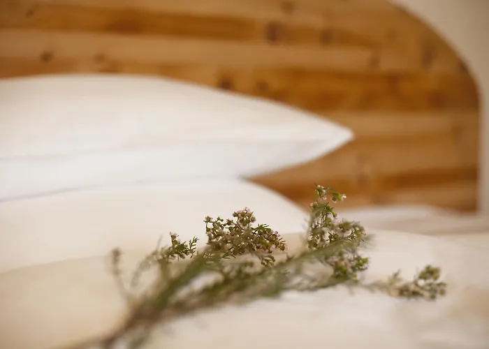 Landgut Nedlitz, Aryurveda & Gesundheit 4*