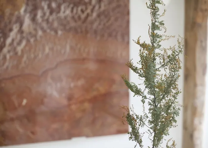 Landgut Nedlitz, Aryurveda & Gesundheit 4*